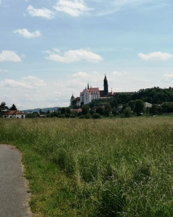 Weinstube 1. Weinkoenigin